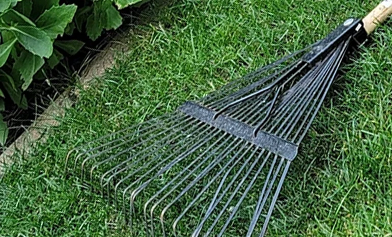 Spring yard clean-up by Jason's Lawn Care after winter