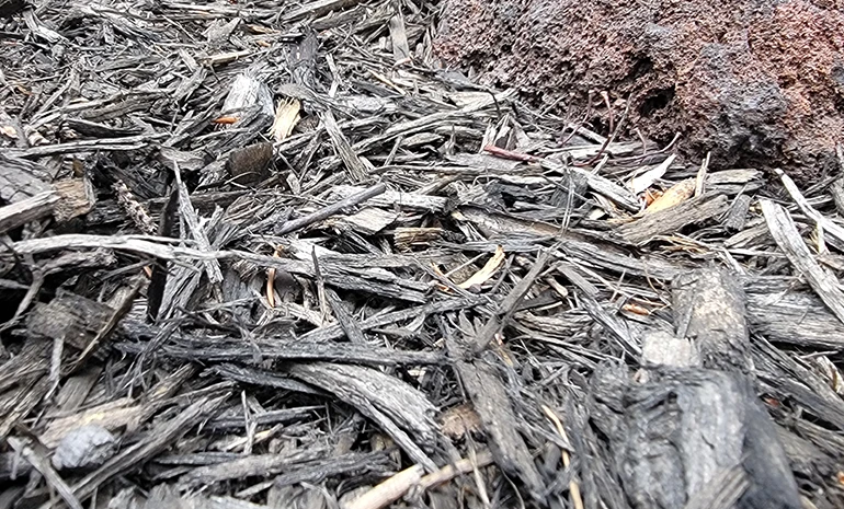 Fresh landscape rock and mulch installed by Jason's Lawn Care