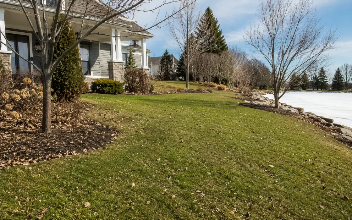 Spring Clean-Up assessment on a Greater Mankato lawn after snowmelt
